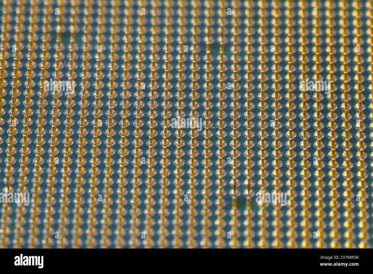 Makro aus cpu-Gold-Pins und Chip, Mikrochip-Prozessor und Computerkomponenten-Technologie. Stockfoto