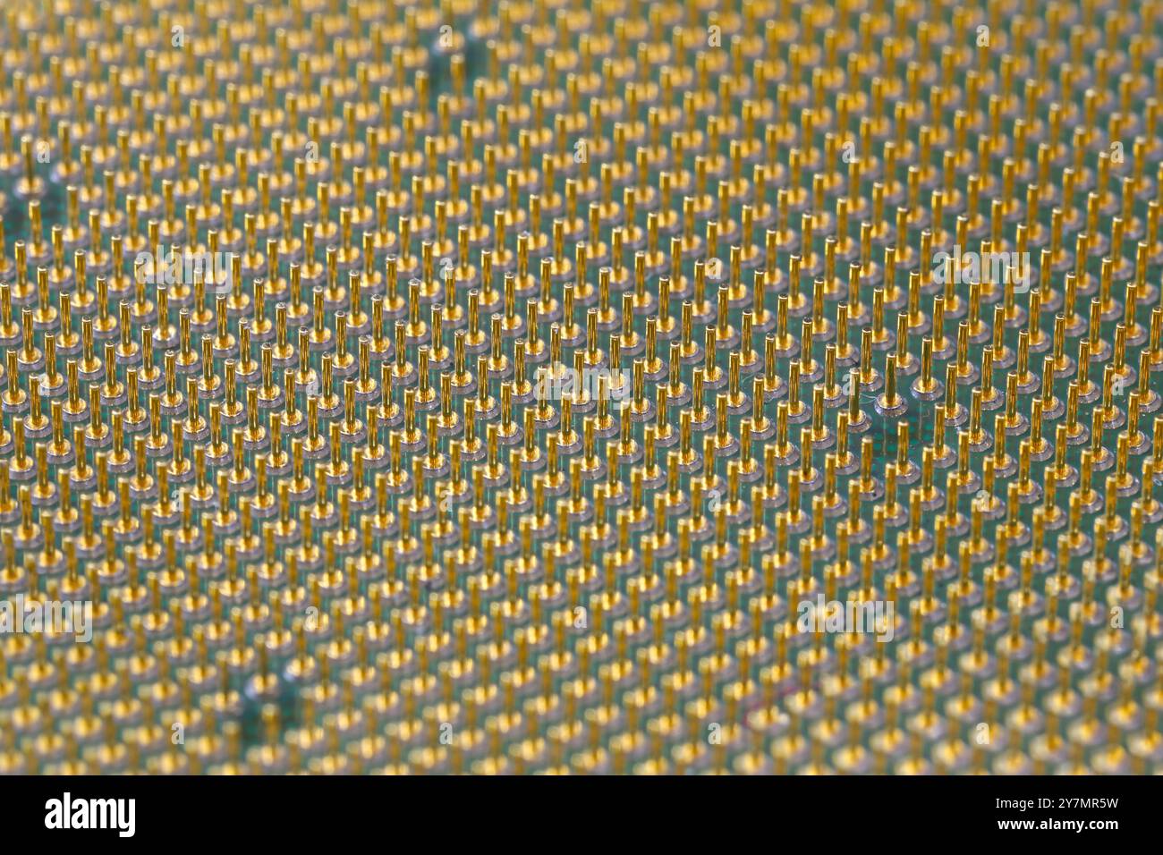 Makro aus cpu-Gold-Pins und Chip, Mikrochip-Prozessor und Computerkomponenten-Technologie. Stockfoto