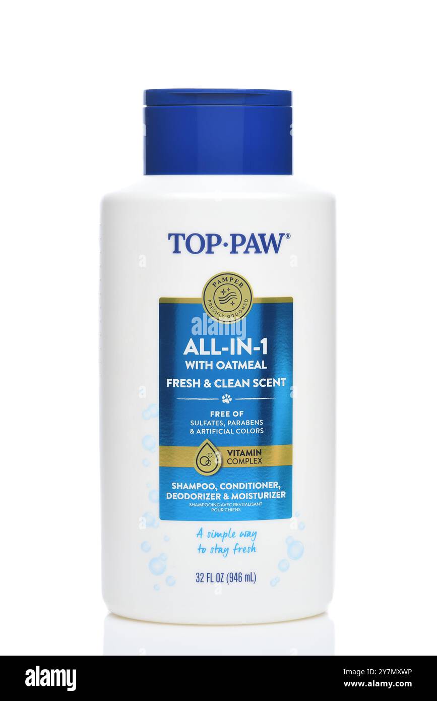 IRVINE, KALIFORNIEN - 28. SEPTEMBER 2024: Eine Flasche Top Paw All-in-One Hundeshampoo. Stockfoto