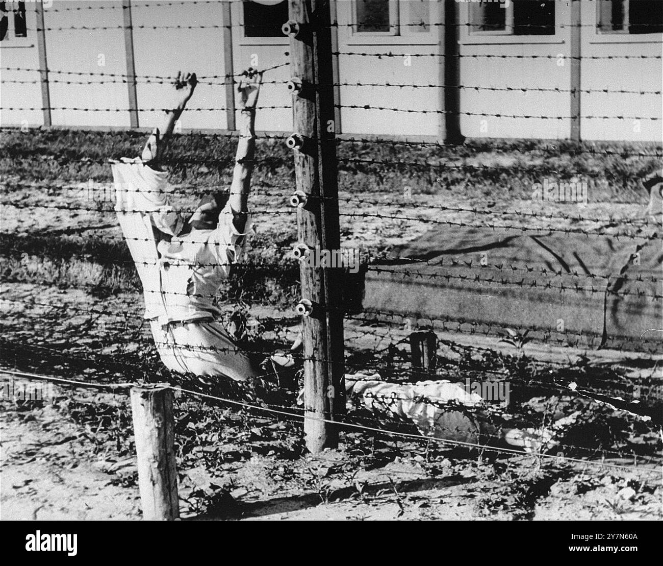 Die Leichen zweier niederländischer Juden, die Selbstmord begangen haben, indem sie den Hochspannungszaun in Mauthausen berührten. Mauthausen war ein NS-Zwangsarbeitslager, das Teil des Mauthausen-Komplexes war. Auf seiner Höhe hatte sie 85.000 Gefangene auf einmal. Es war berüchtigt für seine Härte - es wird geschätzt, dass von den 190.000 Gefangenen, die während der Operationen dort festgehalten wurden, die Hälfte vollständig gestorben ist. Dort befand sich der Wiener Graben und seine gefürchteten Todessteige, wo viele starben, als sie riesige Lasten die 186 Steintreppen hinauftrugen. Stockfoto