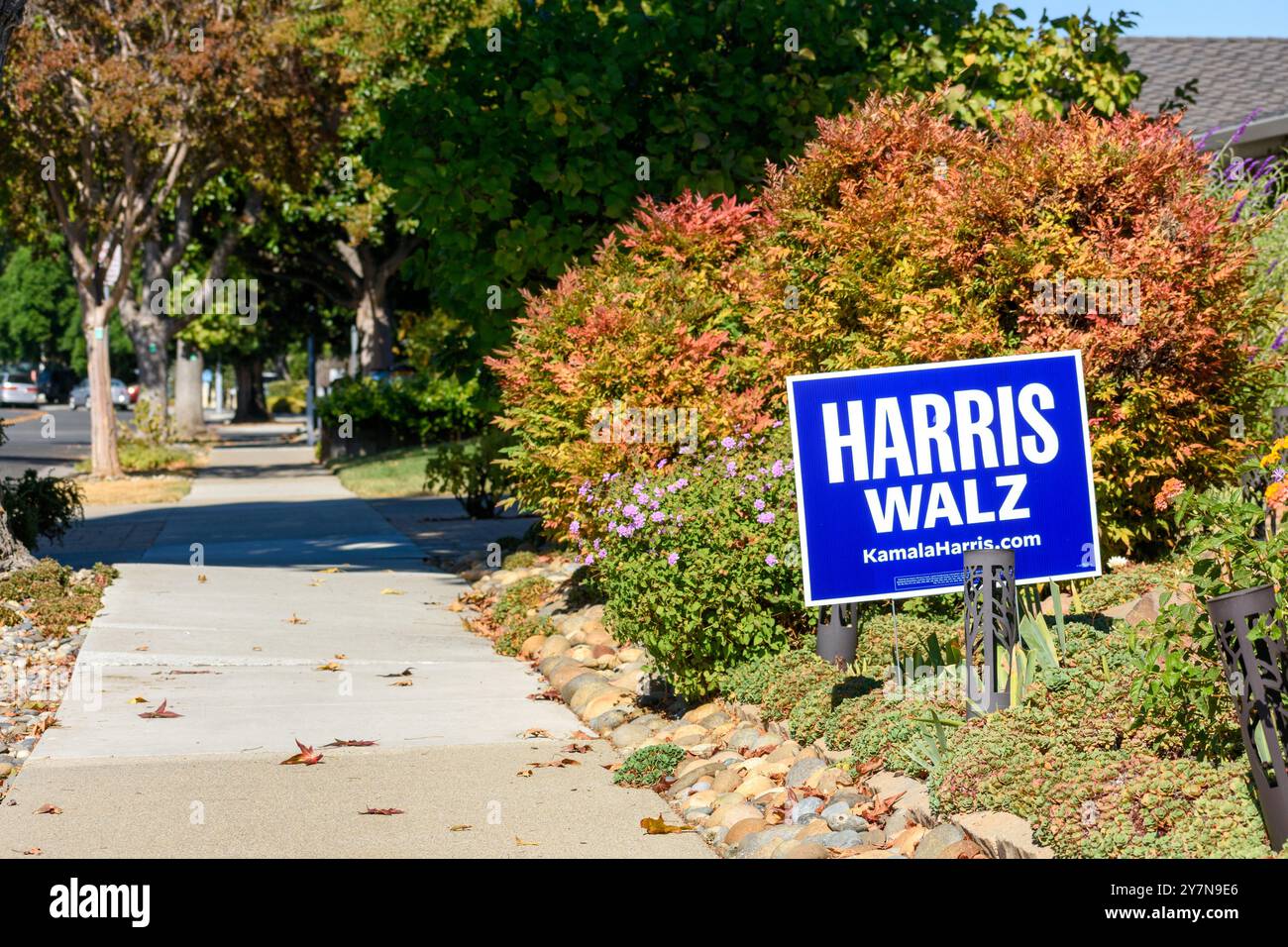Harris Walz Gartenschild mit Website-Link für KamalaHarris.com in einem Wohngarten in der Nähe eines Bürgersteigs. - Kalifornien, USA - 30. September 2024 Stockfoto
