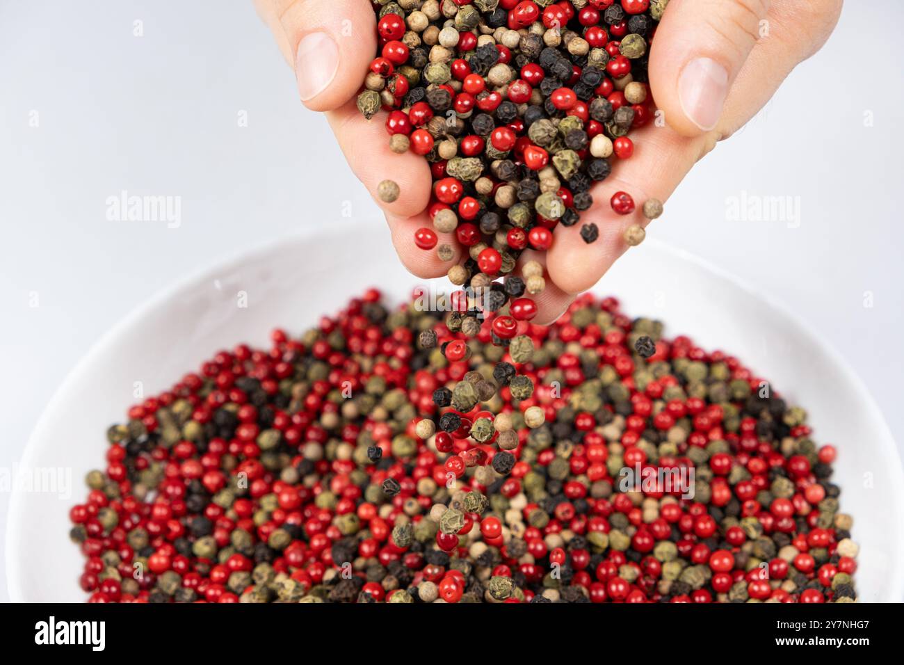 Hände bestreuen Pfeffermischung rot, grün, weiß und schwarz. Stockfoto