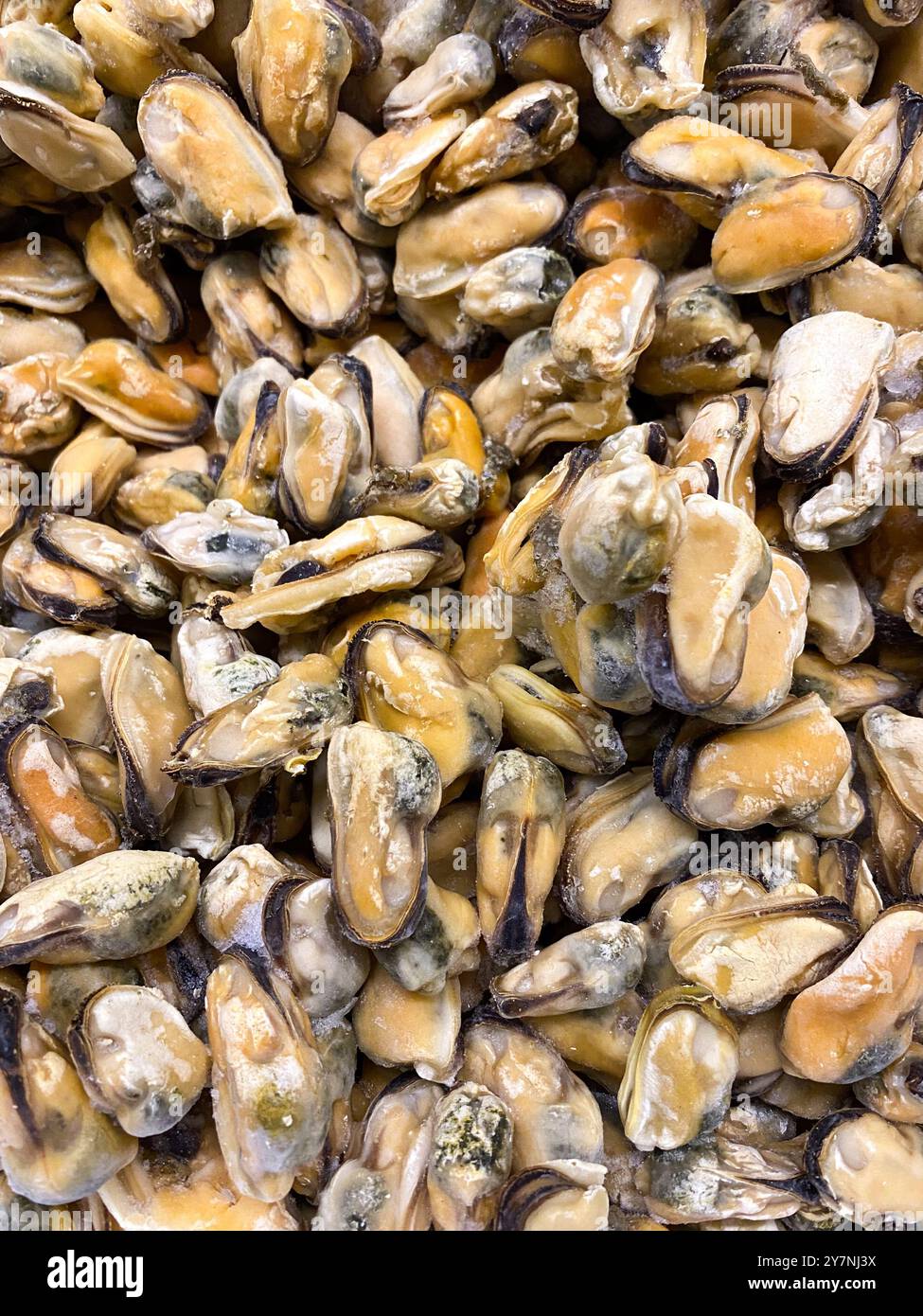 Tiefgefrorene, Gekochte Chilenische Muscheln Von Oben. Stockfoto