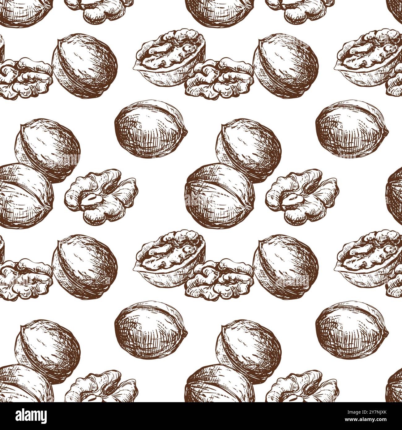 Handgezeichnete Nussbaum-Skizze Vektor-Illustration. Nahtloses Muster Walnusskerne, ganzer Walnusskerne, Symbol für Schalenskizzen. Frische Bio-Lebensmittel, Öl. Schwarz und weiß Stock Vektor