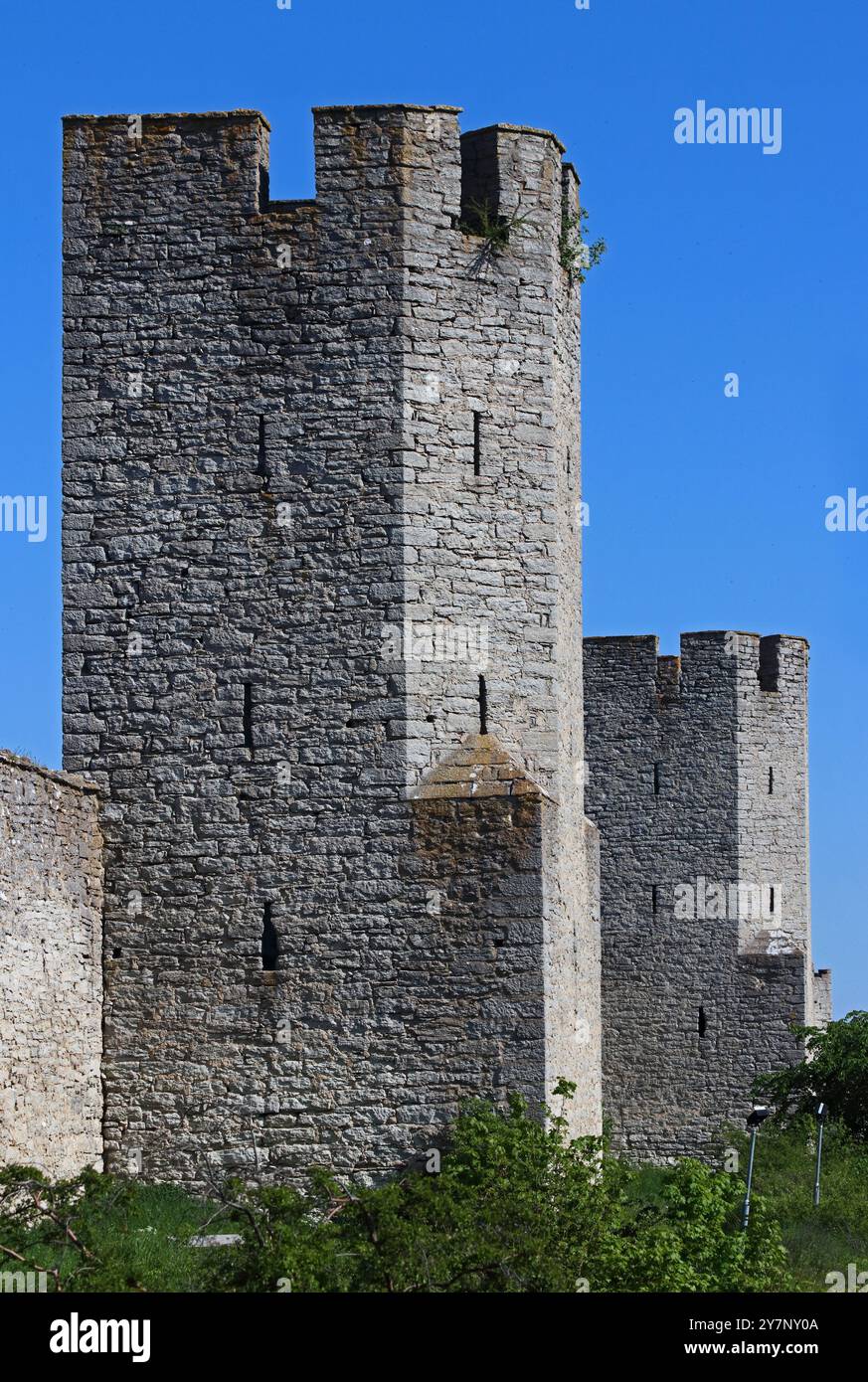 Historische Stadtmauer und Türme, Visby, Gotland, Schweden Stockfoto