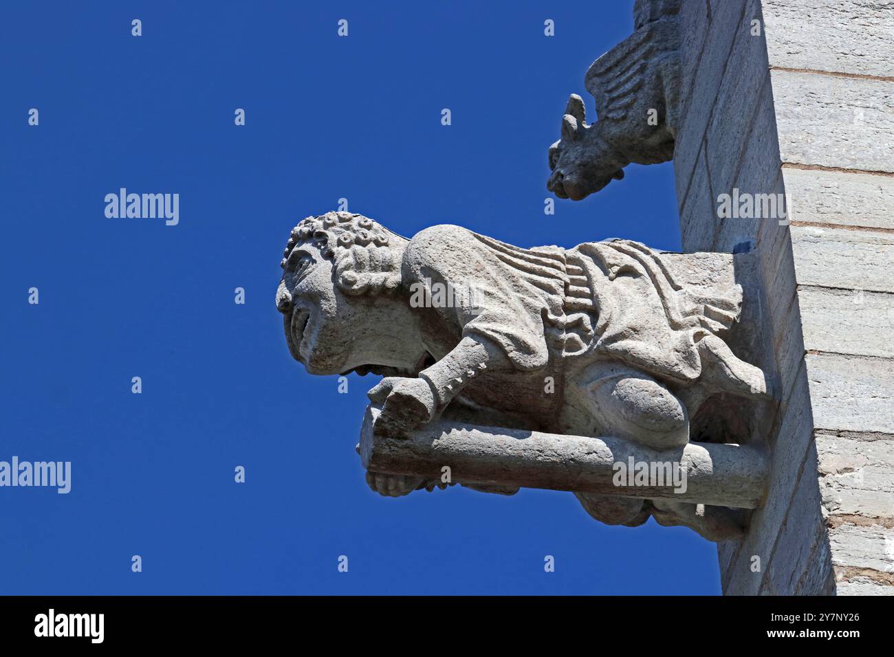 Wasserspeier auf der Kathedrale, Visby, Gotland, Schweden Stockfoto
