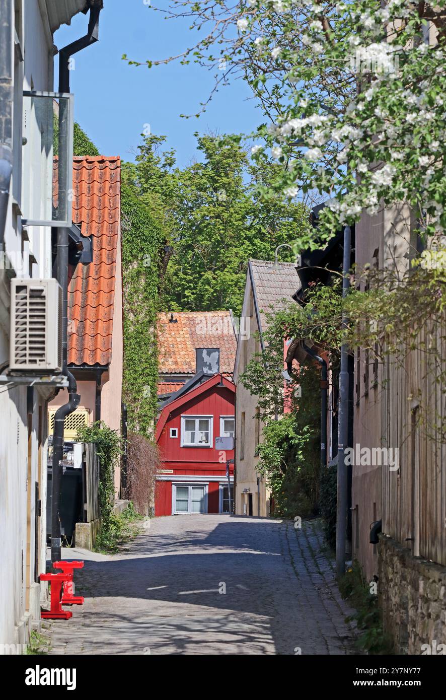 Eine Straße in Visby, Gotland, Schweden Stockfoto