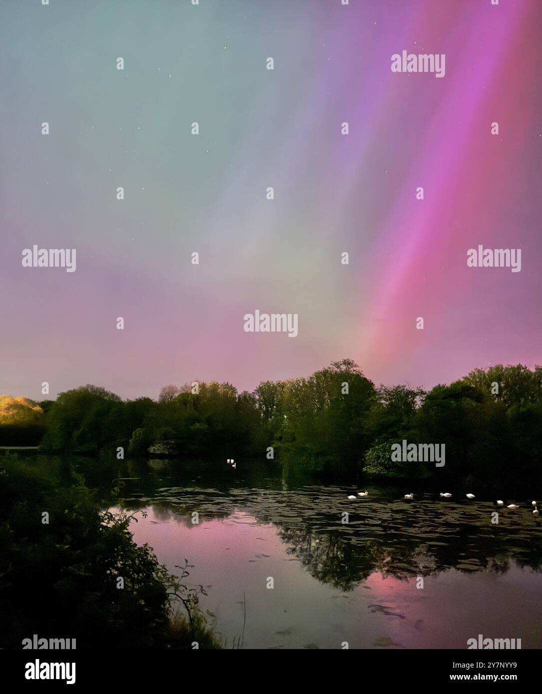 Die Aurora Borealis über Wiltshire, Großbritannien Stockfoto