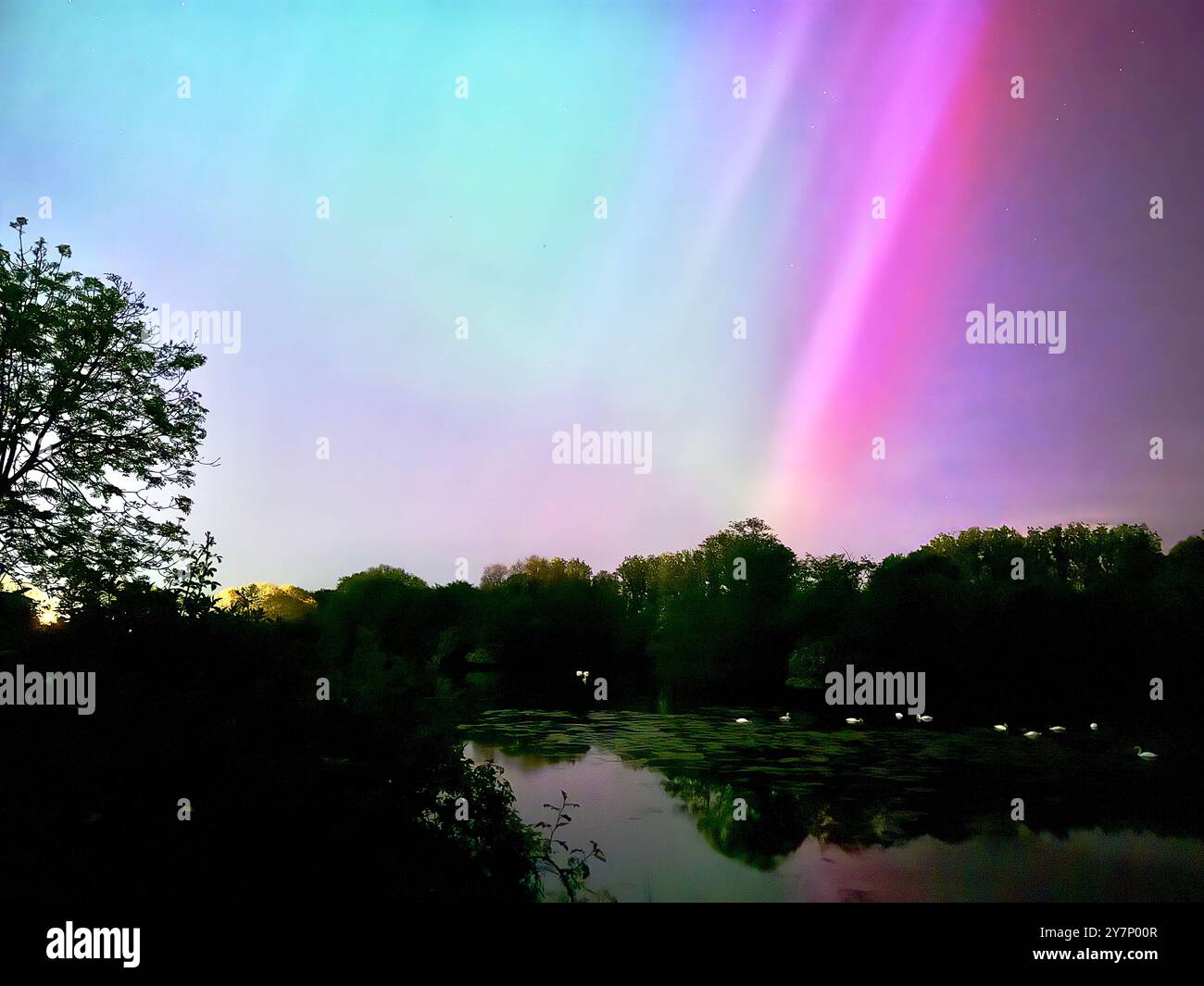 Die Aurora Borealis über Wiltshire, Großbritannien - Smartphone-aufgenommenes Stockfoto
