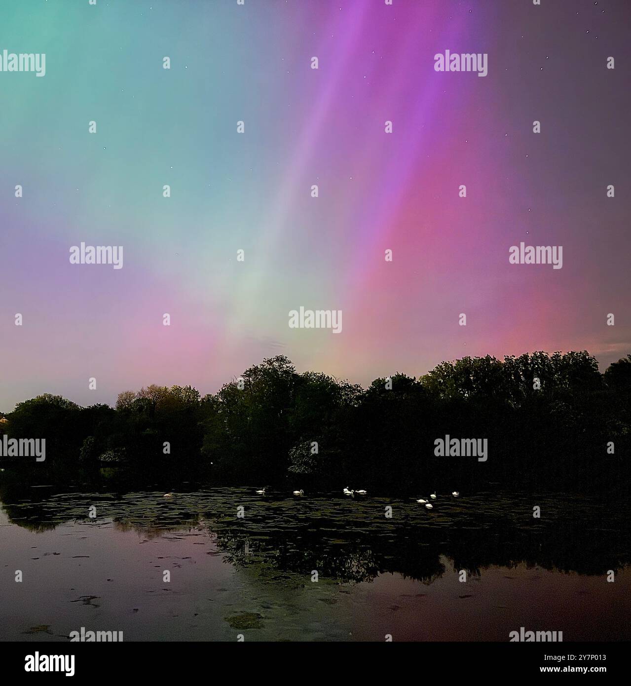 Die Aurora Borealis über Wiltshire, Großbritannien - Smartphone-aufgenommenes Stockfoto