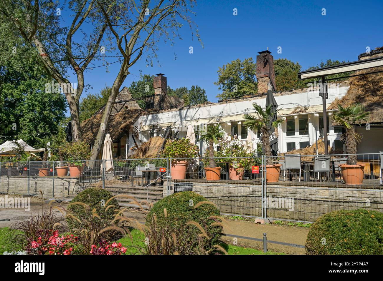 Ruine, ausgebranntes Teehaus, Englischer Garten, Park, großer Tiergarten, Tiergarten, Mitte, Berlin, Deutschland, Ruine, ausgebranntes Teehaus, englischer Garte Stockfoto