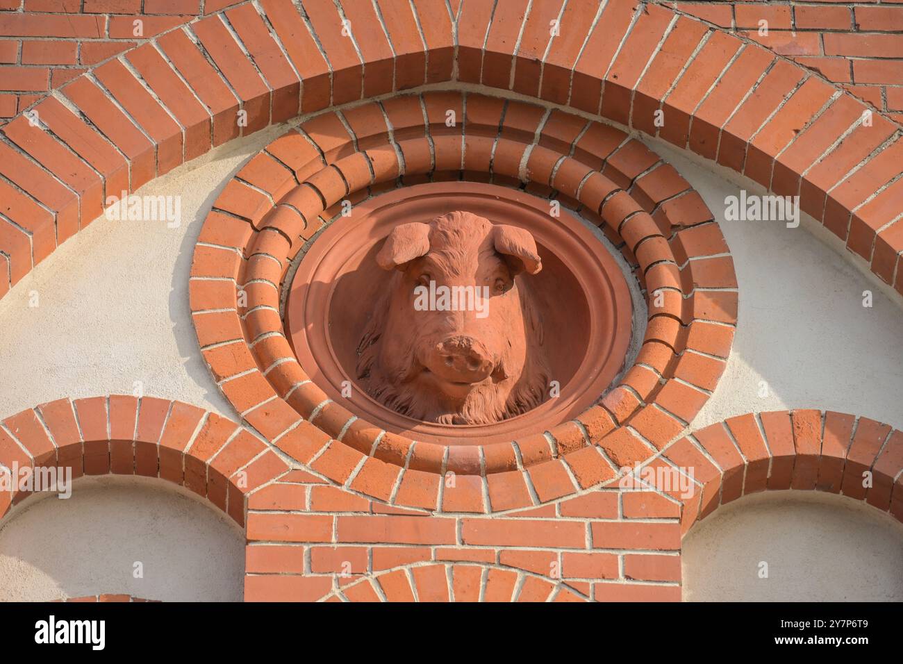 Schweinekopf, Skulptur in einem alten Gebäude, Entwicklungsgebiet Alter Schlachthof, Landsberger Allee, Prenzlauer Berg, Pankow, Berlin, Deutschland, Schweinekop Stockfoto