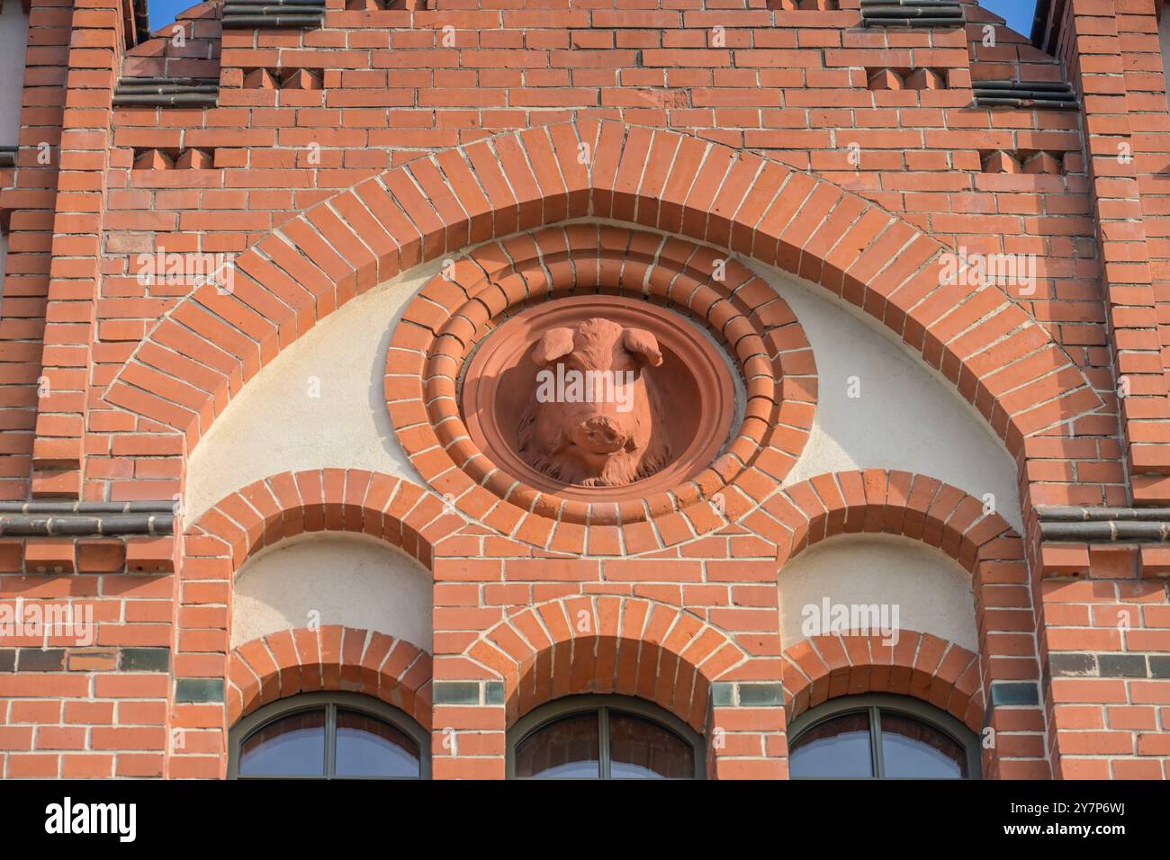 Schweinekopf, Skulptur in einem alten Gebäude, Entwicklungsgebiet Alter Schlachthof, Landsberger Allee, Prenzlauer Berg, Pankow, Berlin, Deutschland, Schweinekop Stockfoto