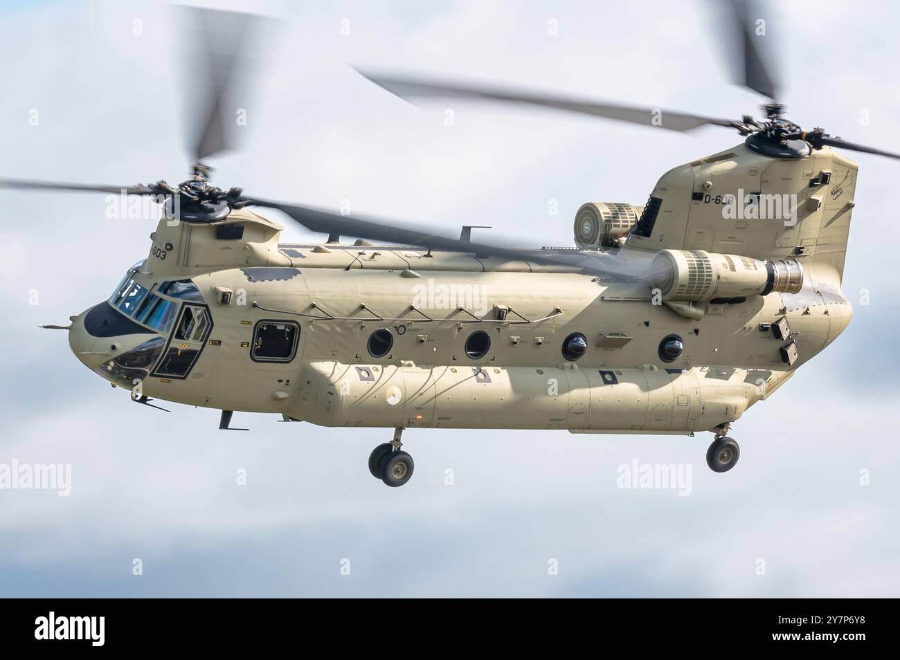 Ein Boeing CH-47F Chinook Militärtransporthubschrauber der Royal Netherlands Air Force. Stockfoto