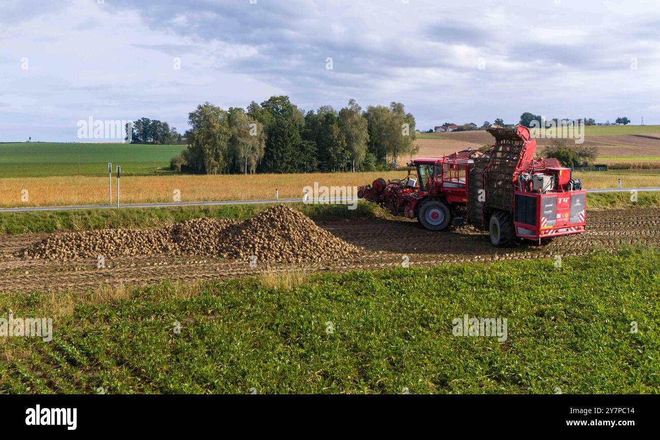 01.10.2024, Ried im Innkreis, AUT, unterwegs in Oberösterreich ...