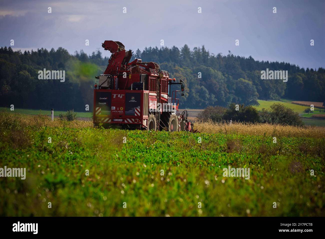 01.10.2024, Ried im Innkreis, AUT, unterwegs in Oberösterreich ...