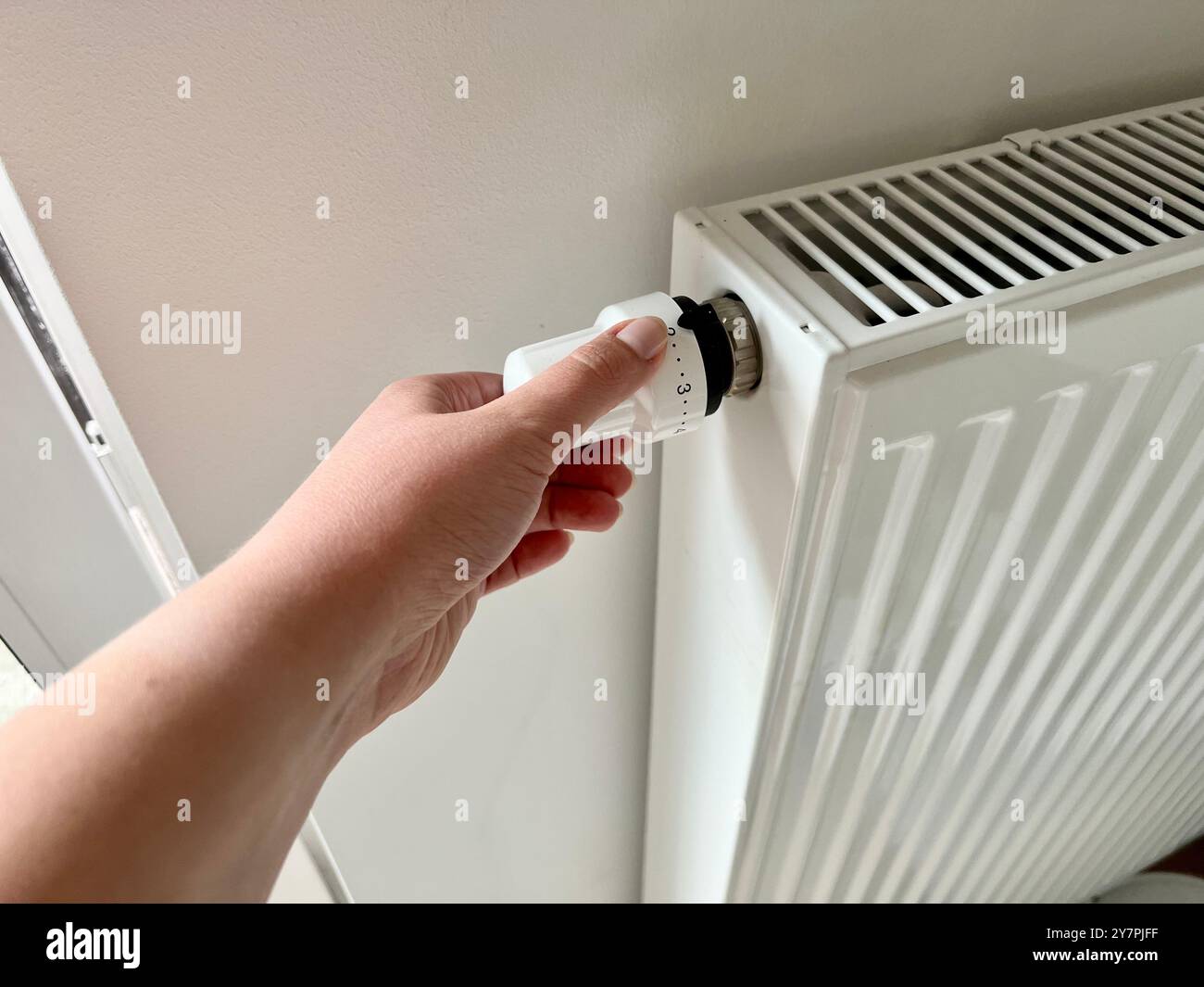 Die Hand einer Frau schaltet die Temperatur am Heizkörper. Nahaufnahme des Kühlers. Der Beginn der Heizsaison, Heizung des Zimmers. - Smartphone-aufgenommenes Stockfoto