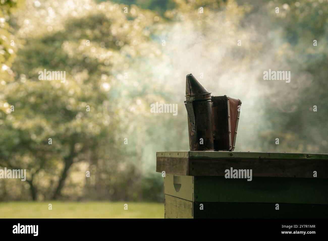 Bienenraucher, Rauchgerät für Honigbienen, Bienenstockausrüstung, Imker Stockfoto