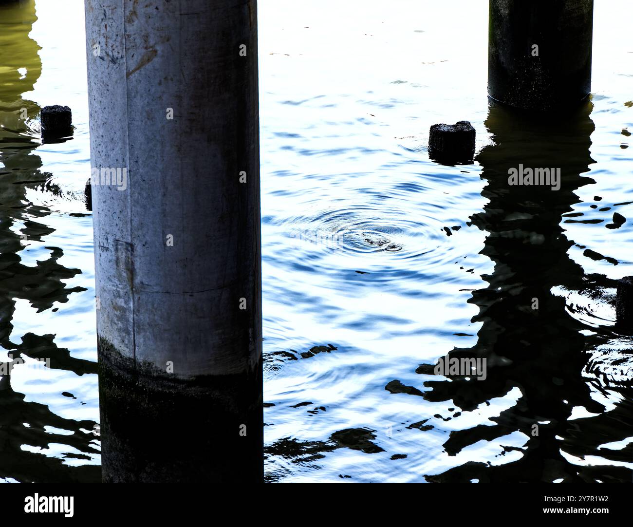 Trübes Wasser plätschert zwischen den Betonpfählen, die Little Island unterstützen, eine künstliche Parklandschaft, die den Pier 54 am Hudson River ersetzt. Stockfoto