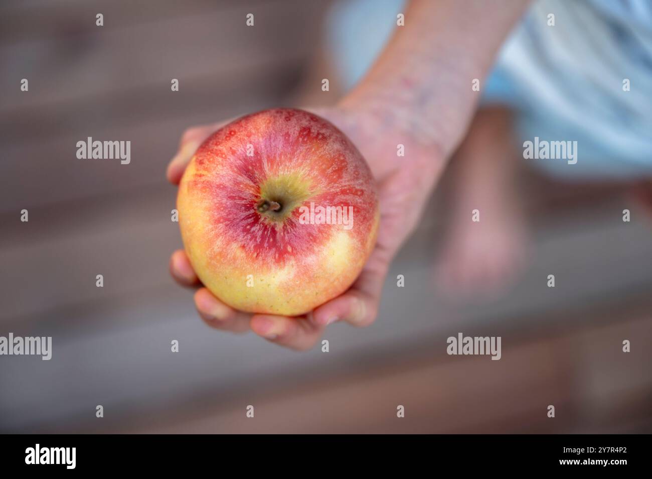 Blick von oben auf ein Kind, das einen saftigen Reifen Apfel in der Hand hält. Gesunde Vitamine voll Snack. Stockfoto