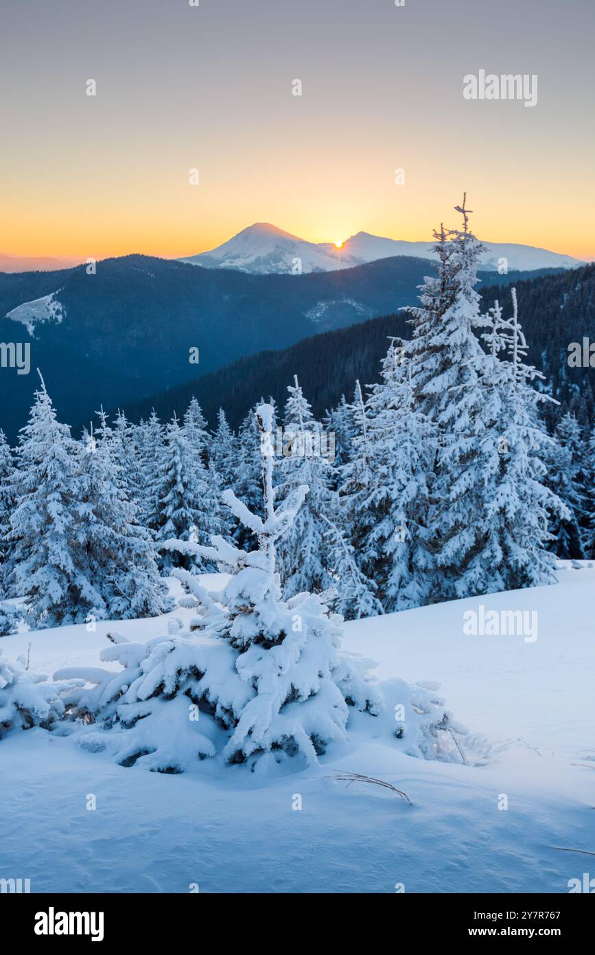 Fantastischer orangener Sonnenaufgang in verschneiten Bergen. Winterliche Szene mit schneebedeckten Bäumen, die in der Morgensonne leuchten. Weihnachtsferienkonzept Stockfoto