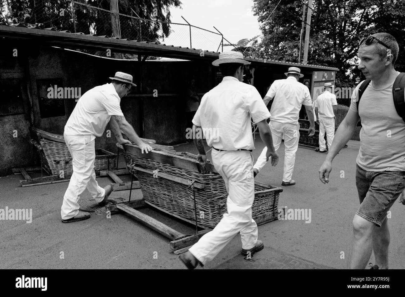 Monochrom von Carreiros, die Korbschlitten arrangieren, während Touristen vorbeifahren Stockfoto