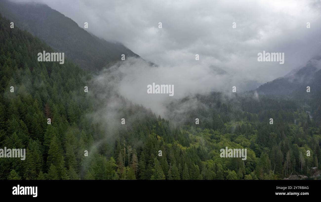 Aus der Vogelperspektive eines nebelbedeckten Waldes mit immergrünen Bäumen und Bergen im Hintergrund, die von Wolken und Nebel umhüllt sind. Stockfoto