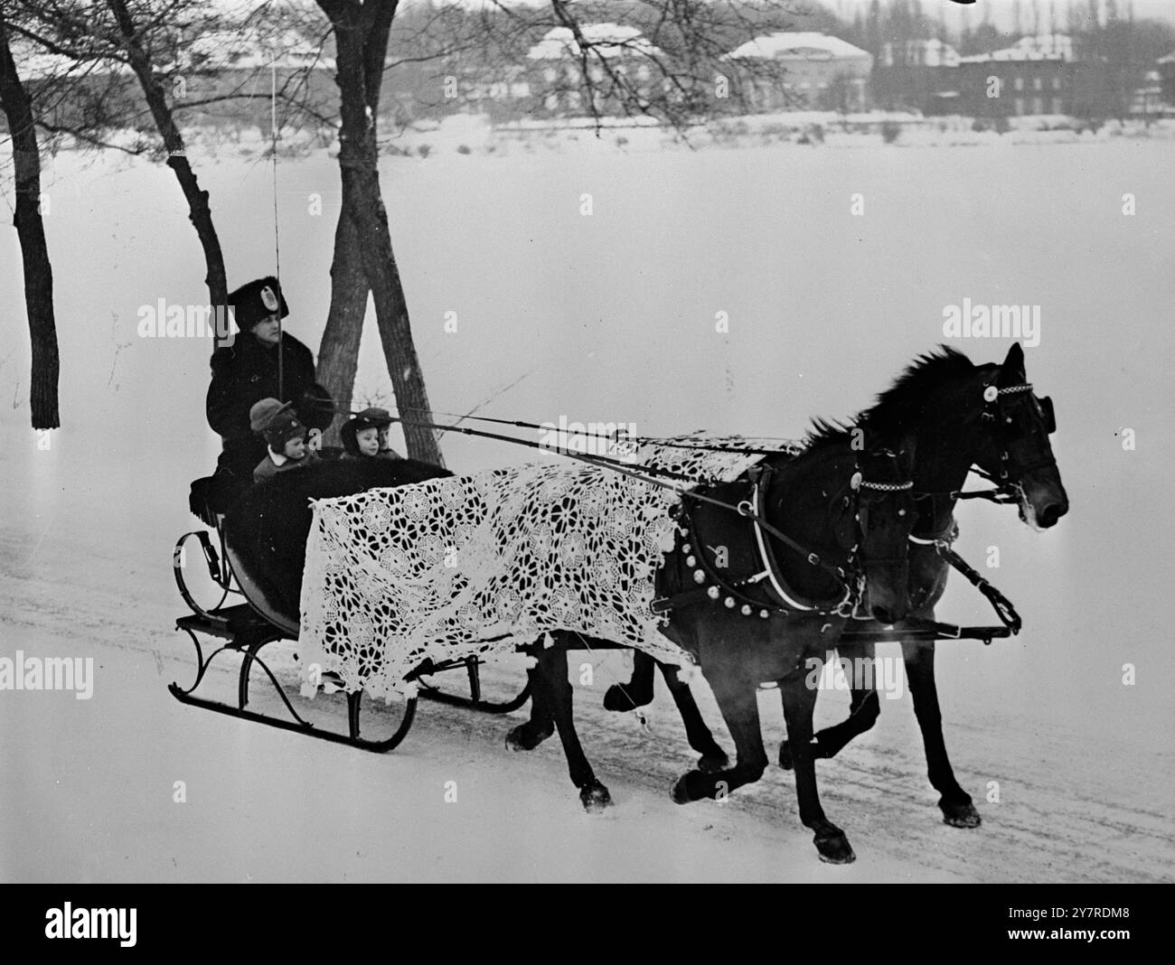 ROYAL RODGE DRIVE. 27.1,54. Der kleine schwedische Kronprinz Carl Gustaf von Schweden nutzte gestern das angenehme Winterwetter für eine Schlittenfahrt im Park von Djurgarden in Stockholm. Er sitzt zusammen mit seiner Krankenschwester und seinen Spielzeugen, neben ihm ist der junge Carl-Johan Smith. Beachten Sie die aufwendigen Spitzenumhänge für die Pferde. 532.EM 74191. Fotos Von Internationalen Nachrichten. Stockfoto