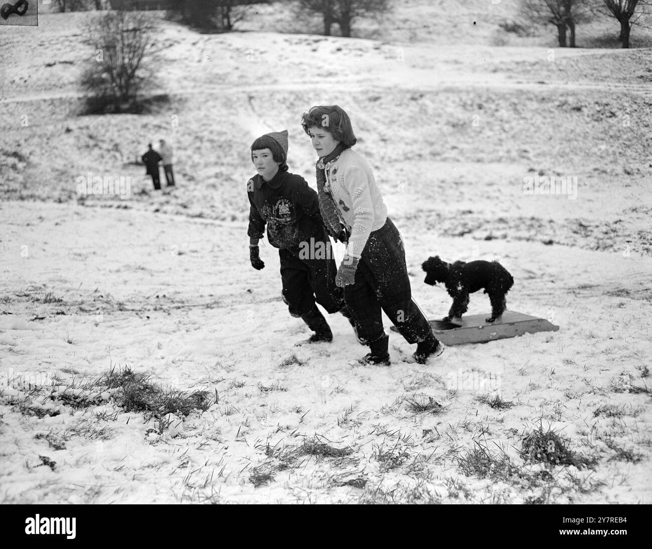 LONDONS WINTERSPORT 7,1.54. Nach Wochen, in denen es wie Frühling in London schien, hat das Wetter die Saison eingeholt und den ersten Schnee im Winter gebracht. Rodeln wurden heute Morgen in Hampstead Heath in Betrieb genommen. Das I.N.P. Foto zeigt Jupiter, den Pudel, der auf der Hampstead Heath eine Fahrt auf den Hügel genießt, aber die zehnjährige Penelope Whitty (links) und die elfjährige Anna Duncan müssen zu ihrem Vergnügen arbeiten. Foto von Joe Waldorf. S. 73706. Fotos Von Internationalen Nachrichten. Stockfoto