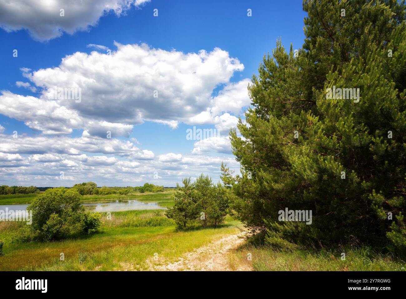 Landschaft mit der Straße am sonnigen Sommertag Stockfoto