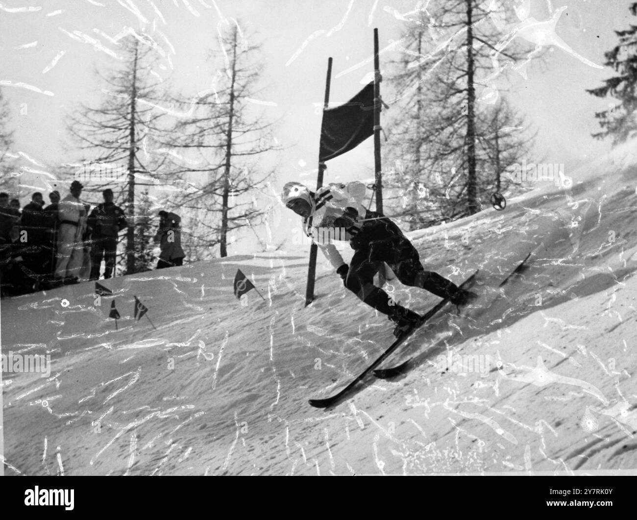 SCHWEIZER MISS WINSCortina d'Ampezzo, Italien: Die Schweizer Skirennläuferin Madeleine Berthod stürzt beim olympischen Winterabfahrtsrennen der Damen mit Leichtigkeit die steile Piste hinunter. Sie gewann das Rennen in einer Minute, 46 Sekunden. 3. Februar 1956 Stockfoto