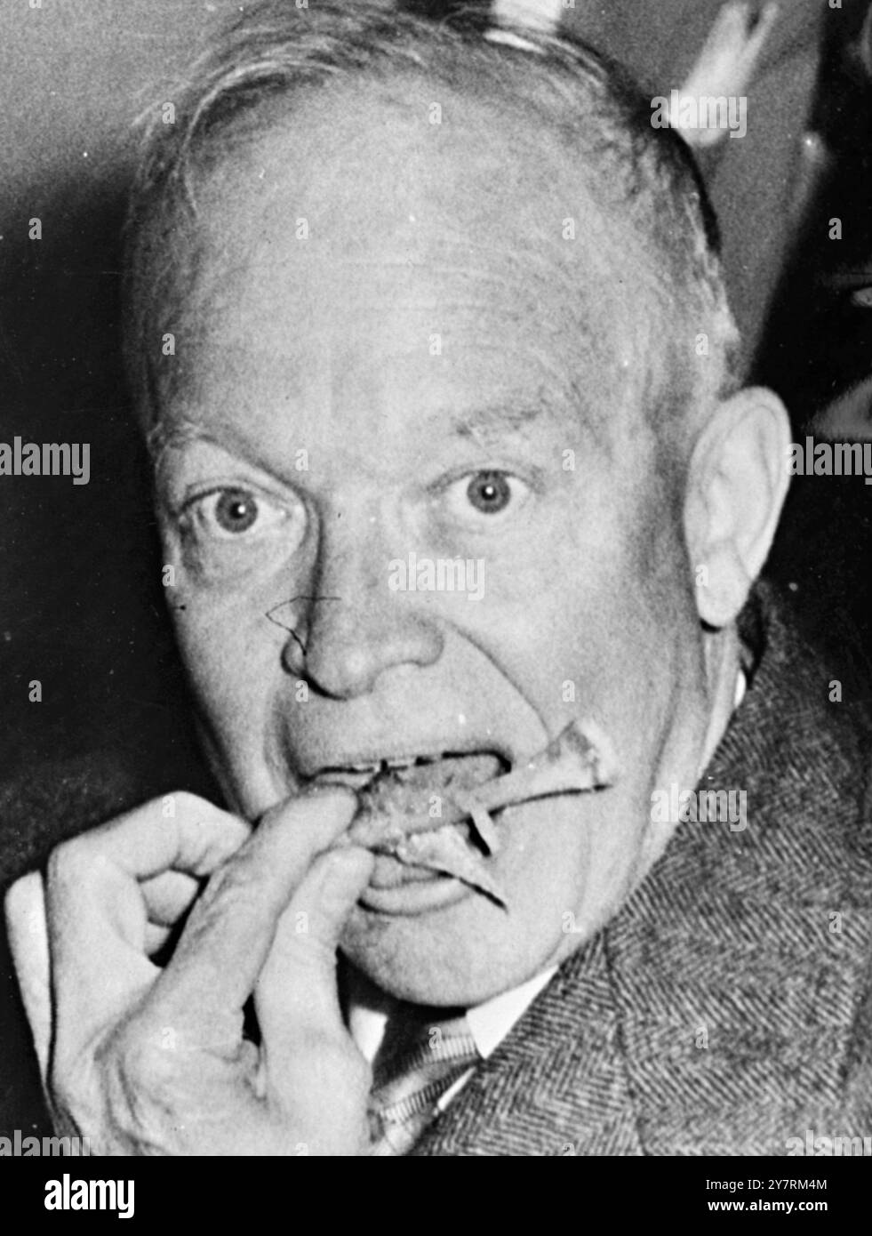 In der Zeichenfolge 'EINIGE HÜHNER'. 15.10.53. Präsident Eisenhower öffnet sich weit, um den letzten von einem offensichtlich köstlichen Hühnerkeule aus einer "Box-Lunch" zu beenden, der dem Geschäftsführer während der gigantischen Feier im Hershey Stadium in Philadelphia am Vorabend seines 63. Geburtstages und seines ersten Präsidenten der Vereinigten Staaten serviert wurde. Die 15.000 mit Decken umhüllten und überstrichenen Zuschauer versammelten sich im Stadion, um eine Galafeier für den Mann zu veranstalten, den das Finanzkomitee der Pennsylvania GOP als den „größten Kerl der Erde“ bezeichnet. Stockfoto