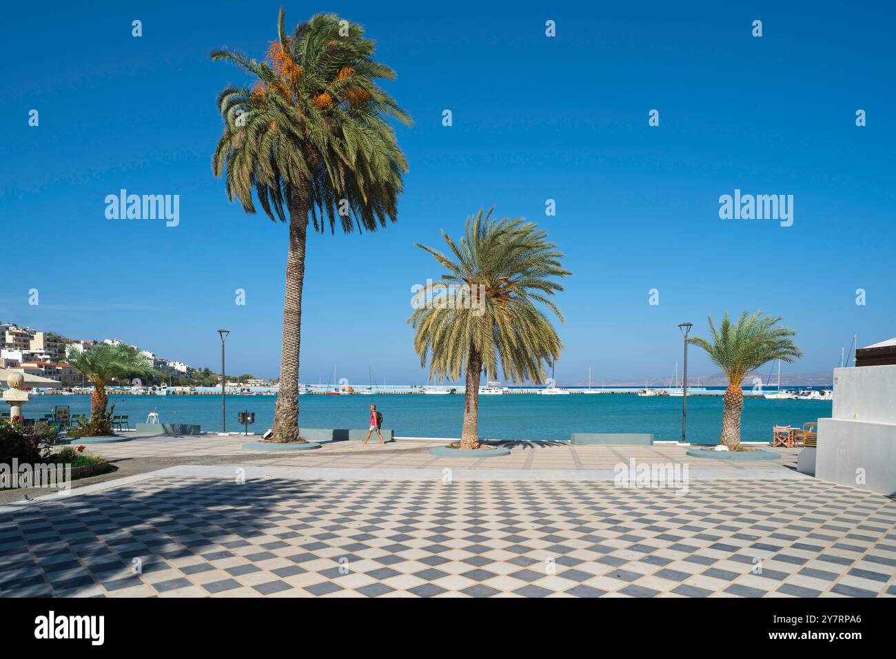 Reife Frau, Blick auf eine Frau mittleren Alters, die einen Rucksack trägt und allein an Palmen vorbeiläuft. Sie befindet sich in Sitia auf der Insel Kreta, Griechenland. Stockfoto