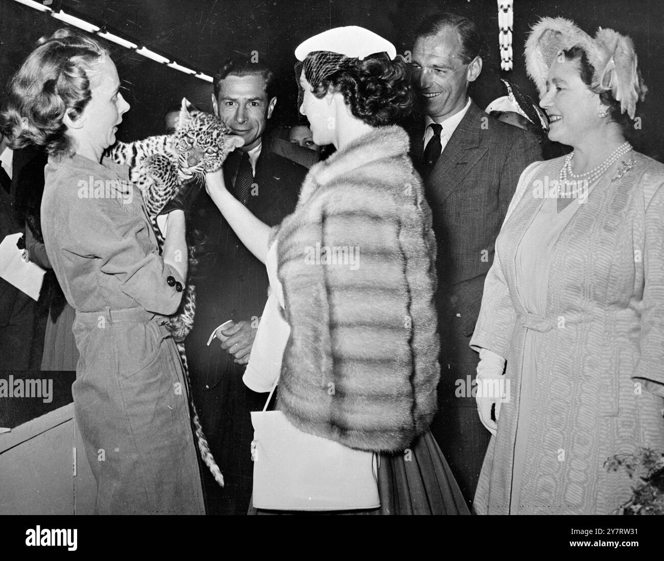 PRINZESSIN MARGARET UND DAS LEOPARDENJUNGE 6.7.53 das Foto zeigt die Königin Mutter, wie Prinzessin Margaret das junge Leopardenjunge liebkost, das es bei einem Besuch im Uganda Pavillon auf der Rhodos Centenary Exhibition, Bulawayo, zu fotografieren scheint. 6. Juli 1953 Stockfoto