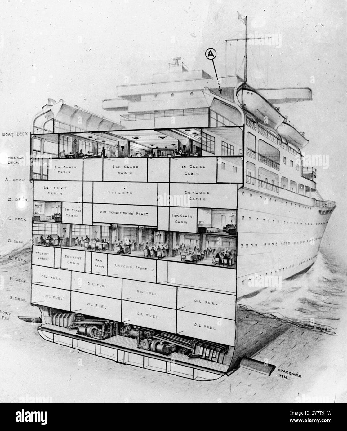 Ein Künstler sieht den Abschnitt des neuen 24.000-Tonnen-Passagierschiffes P und O ' chusan ', das die Hafen- und Steuerbordstabilisatoren von Denny-Brown zeigt (gekennzeichnet mit ' Port ' und Steuerbord: FIN '). Mit den gestrafften Flossenprojektionen soll dem Volumen der rauen See entgegengewirkt werden . Die Lamellen sind so ausgelegt, dass die Rolle auf dem Behälter von , sagen wir, 14° bis 4° verringert wird. Die Lamellen sind hydrodynamisch ausbalanciert und werden über Gyroskope von der Brücke aus gesteuert. Hydraulisch betrieben, wirken sie gegeneinander und erzeugen eine Walze, die dem Rollenprodu entspricht Stockfoto
