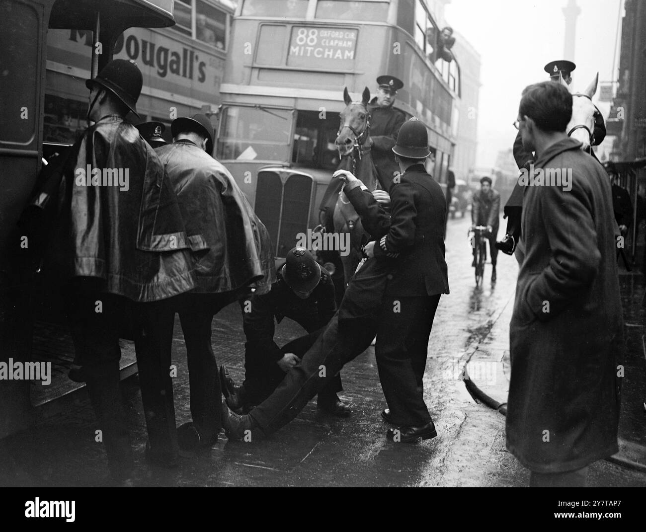 Mai 1950 mehr als dreißig Menschen, darunter zwei Frauen, wurden verhaftet, als Trupps von Fuß- und berittenen Polizisten - oft in Hand-zu-Hand-Kämpfen - eine Reihe von Demonstrationen im West End von London vor und nach einem Maitagssitzung am Trafalgar Square am heutigen Sonntag aufbrachen. Der Mittelpunkt der Demonstrationen war der Platz, auf dem Leute gesungen haben, die "Wir wollen Frieden" haben. Am Ende des Treffens stürmten Demonstranten in Richtung Downing Street, wurden aber von der Polizei abgeschnitten und zurück zum Platz gezwungen. Stockfoto