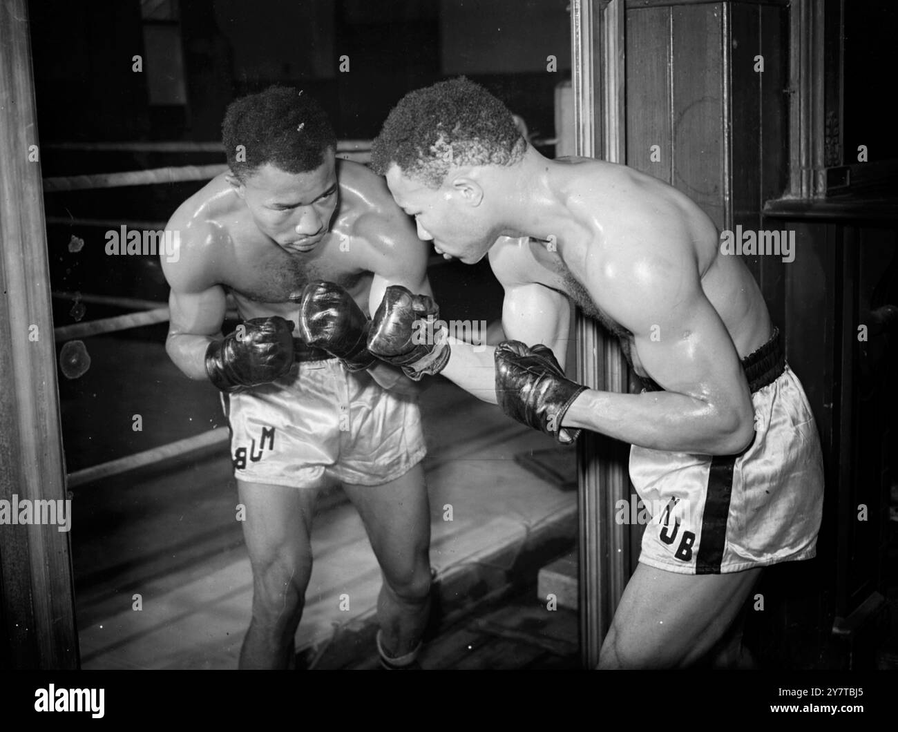 Am 14. April 1950 trainiere Mel Brown, praktisch ohne Sparringspartner, in Preston Park, Brighton, Sussex. schwarze amerikanische Mittelwicht aus St. Paul, Minnessota. Am kommenden dienstag (18. April) trifft er auf Mark Hart aus Croydon, einen führenden Anwärter um den Titel im Schwergewicht British Light, über 10 Runden bei 12 Stein9 Pfund am Streatham (London) Ice Rink. Browns Ruf als harter Schläger, der sich für mehrere amerikanische Titelkämpfer als Jinx erwiesen hat, ist so hoch, dass die lokalen Mittelgewichte nur zögerlich mit ihm in Brighton konkurrieren. Hart wird in Abb. Stockfoto
