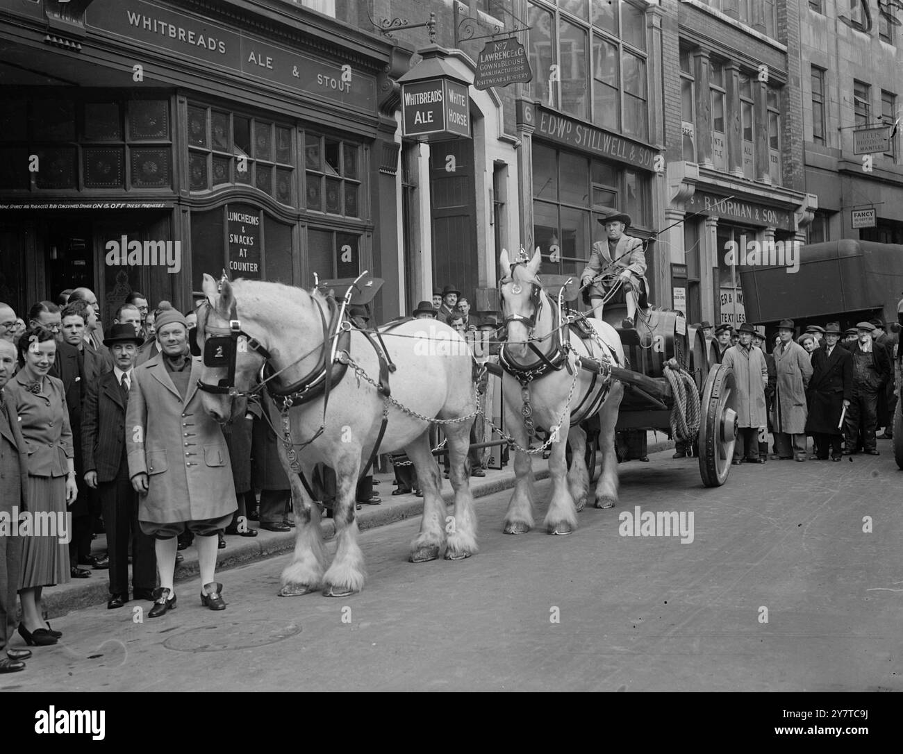 Eine eigens konstruierte Dray aus dem 18. Jahrhundert, die von zwei gewaltigen „Shires“-Tandemen in historischen Gurtzeugen gezogen wurde, tourte heute in einer doppelten Jubiläumsfeier durch die Straßen der City of London. Der 200. Jahrestag des White Horse, Little Britain, London, und der zweihundertjährige Jahrestag der Eröffnung der Whitebread Stables in GRUB Lane London (1750). Zu einer Zeit wurde der größte Teil des Londoner Getränkevorrats von Dray gekarrt. Die Whitbread People hatten 1904 mehr als 400 Pferde für diesen Zweck. Aber die Verkehrsvorschriften und die Zunahme des mechanischen Transports haben die verringert Stockfoto