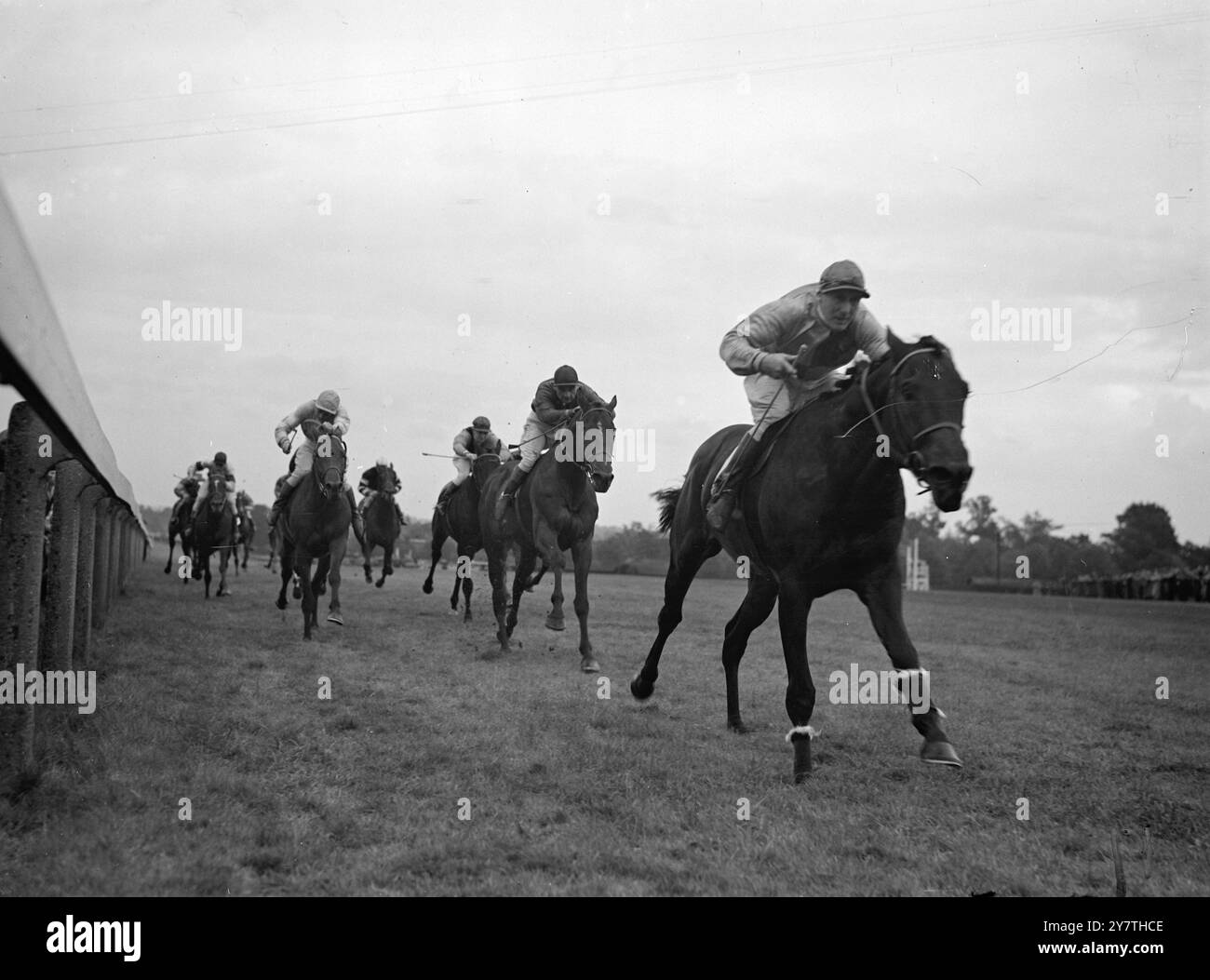 ALS ERSTER IM FINALE bringt Michael Beary Mr. James V. den 9-4 Favoriten Jock Scott auf Platz 1 in der letzten Hand über 1/4 Meilen beim heutigen Sandown Park Meeting. Auf den zweiten Platz fährt der Aga Khan's Somali, geritten von Gordon Richards, gefolgt von Mr. J. Westoll's Le Tellier, Gosling Up, der Dritter wurde (links, Jockey in leichter Kappe ). 20. Oktober 1949 Stockfoto