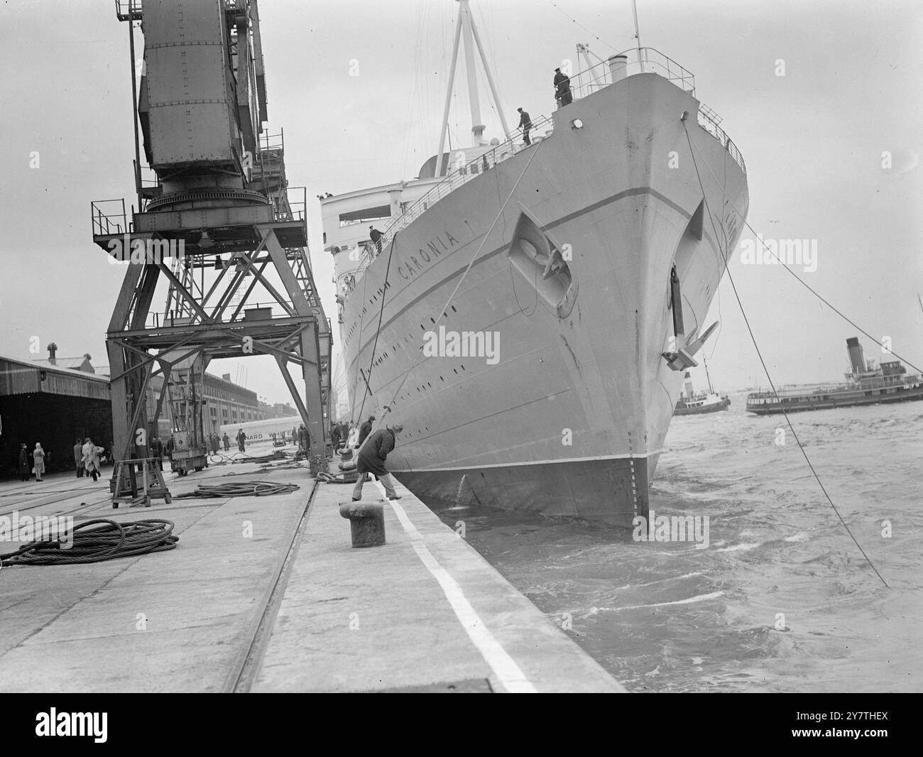 LINER " CARONIA " KRATZT TELLER AN, DIE IN SOUTHAMPTON IN GALE LIEGEN. Der 35.000-Tonnen-Cunard-weiße Star-Liner Caronia aus New York wurde beim Anlegen in Southampton mit 60 Meilen pro Stunde Wind gefangen, der heute gegen die Kaimauer getrieben wurde. Obwohl keine größeren Schäden zu verzeichnen waren, wurden etwa 30 Fuß der Liner-Platten abgeschabt und die Betonwände der neuen Southampton Docks erlitten einige Risse. DAS BILD ZEIGT:-ein ängstlicher Moment in Southampton heute, in dem mehrere Schlepper versuchen, das Linienschiff Caronia unter dem Druck ihrer Siege vor der Kaiwand zu schützen. 18. Oktober 19 Stockfoto