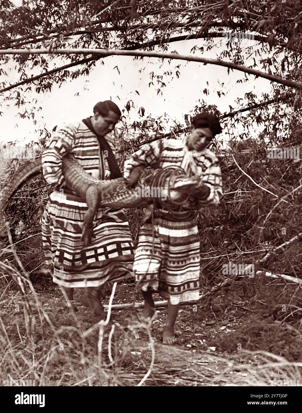 Cowboy Billy (L) und Tony Tommie (R) mit einem gefangenen Alligator im Musa Isle Seminole Indian Village in Miami, Florida, im Jahr 1927. (USA) Stockfoto