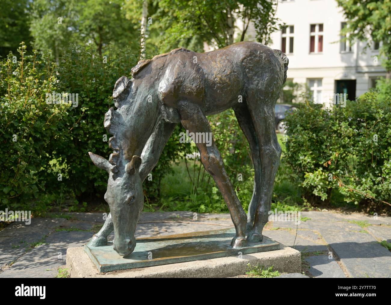 Bronzemonument, Weidefohlen, Renee-Sintenis-Platz, Friedenau, Berlin, Deutschland, Bronzedenkmal, Grasendes Fohlen, Deutschland Stockfoto