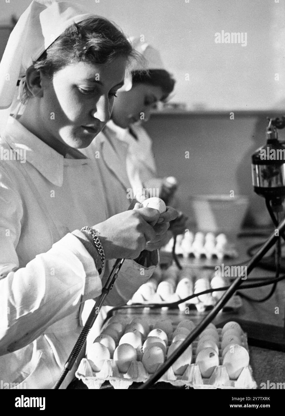 Im November 1952 wurde in den Niederlanden eine großangelegte Offensive gegen Influenza gestartet, als Tausende von Freiwilligen isoliert und mit einem Grippeimpfstoff geimpft wurden. Die Krankheit, die in den Wintermonaten viel Fehlzeiten verursacht und dadurch die Produktion verlangsamt, tritt oft in mehr oder weniger harmloser Form auf, kann aber auch gefährlich werden. Mit Hilfe des Anti-Influenza-Impfstoffes wird gehofft, Menschen für eine bestimmte Zeit immun zu machen. Der Impfstoff wird nach amerikanischer Methode hergestellt und wird von der niederländischen Firma Philips Roxane in Weesp, dem einzigen Hersteller in Europa, hergestellt. T Stockfoto