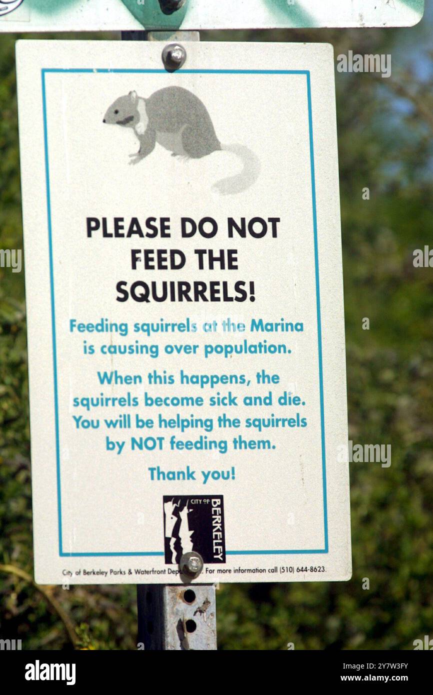 Berkeley, Kalifornien,... Ein Schild steht auf dem die Leute auffordern, die Bodenhörnchen an der Berkeley Marina nicht zu füttern. Die Bodenhörnchen haben die Marina übernommen und die Stadtbeamten lehnten Pläne ab, einen Eichhörnchenjäger einzustellen. Mit Hilfe des Wildlife Research Center des Landwirtschaftsministeriums der Vereinigten Staaten wird die Stadt Berkeley mit einem Medikament versorgt, das die Eichhörnchen unfruchtbar macht. Viele Fans des Parks sind der Meinung, dass die Eichhörnchen in Ruhe gelassen werden sollten, weil sie zuerst hier waren. Juni 2001. Stockfoto