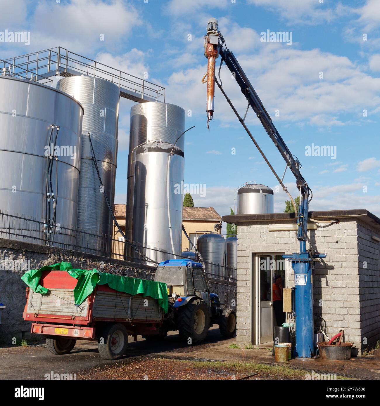 Das Gerät misst den Zuckergehalt von Trauben in einem Weinkeller der Genossenschaft vor dem Entladen. Montefiascone. Oktober 2024 Stockfoto