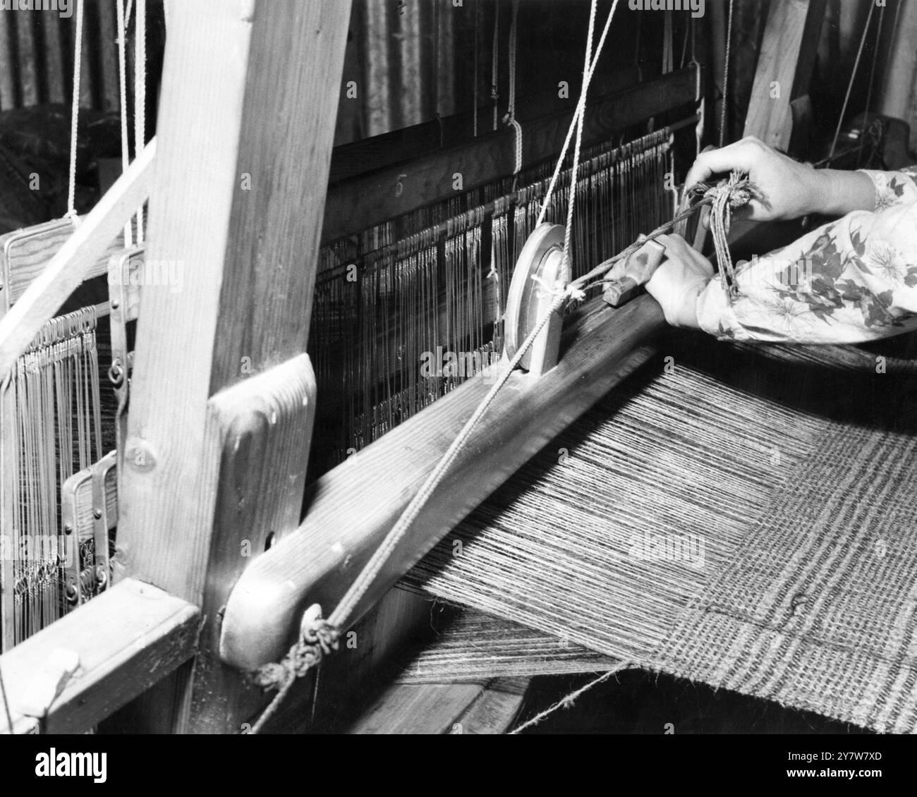 "Royal" Weber von Harris - ein Actionbild des Webers bei der Arbeit. Das Shuttle befindet sich ganz links vom Fahrer mit einem einzelnen Garn vom Tweed . Dieses Garn ist handgesponnener Schuss , der vom Shuttle führt , und es geht durch die Öffnung in der Kette . - November 1960 Stockfoto