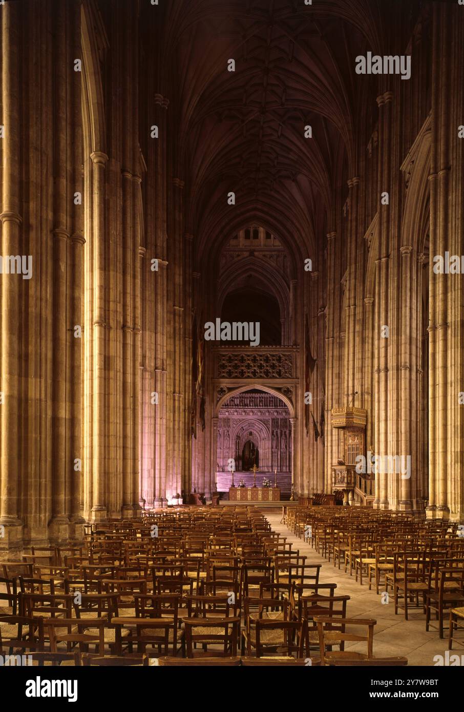 Canterbury Cathedral , Kent , England : eine Innenansicht , die die reich komplizierten Riffelungen des Quergewölbes im Kirchenschiff zeigt . Dies ist eines der ältesten und berühmtesten christlichen Bauwerke Englands. Stockfoto