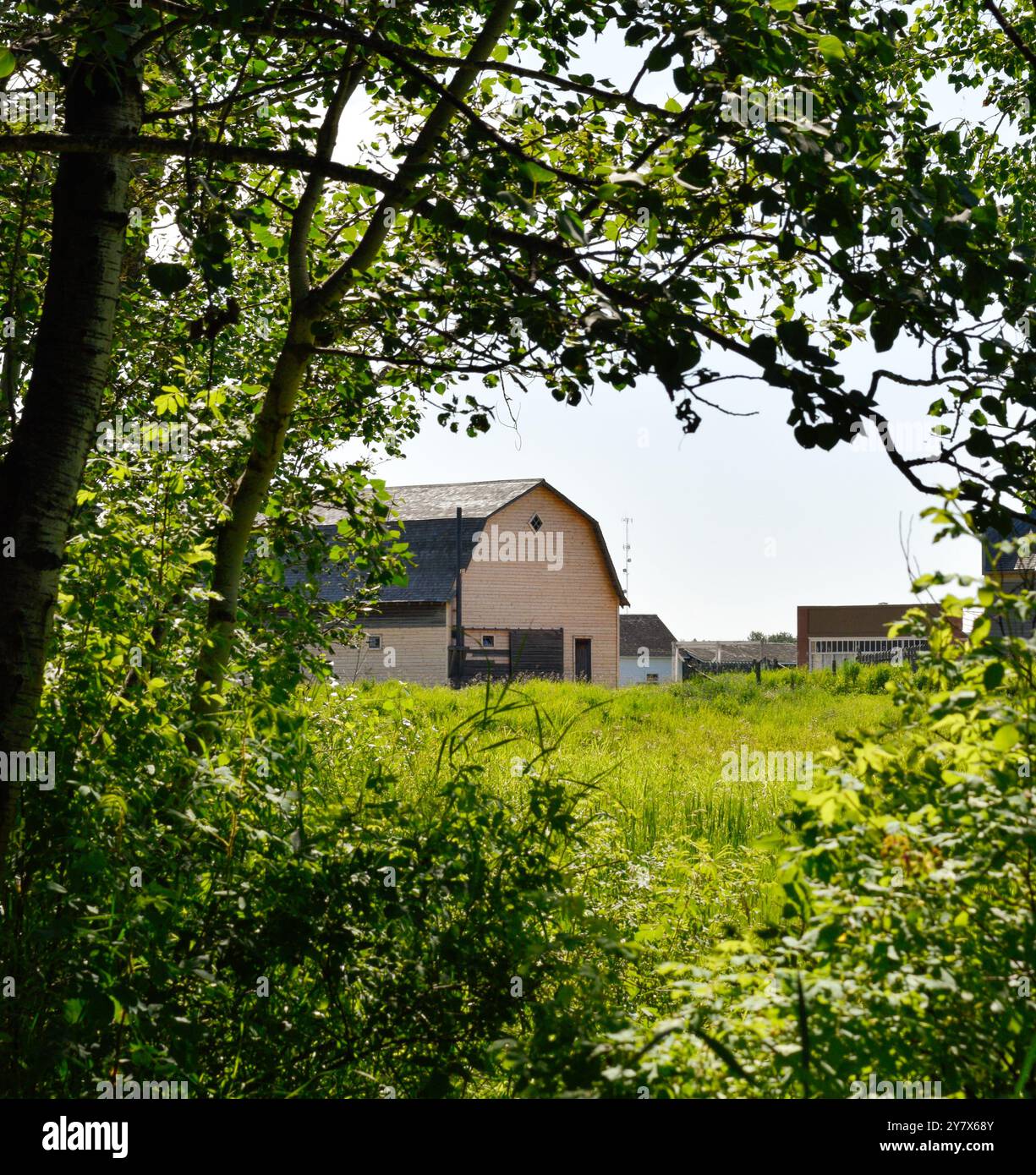 Holzhütten umgeben von Natur im Ukrainischen Heritage Village in Kanada, an einem sonnigen Tag Stockfoto