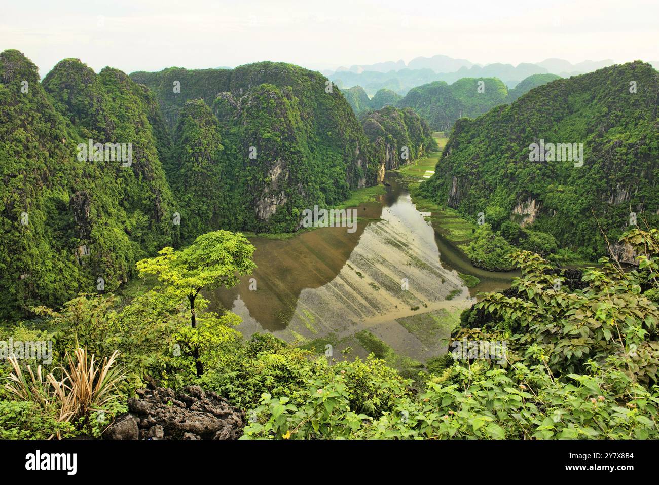 schönen Kalkstein Karstberge in Ninh Binh, Vietnam. Stockfoto
