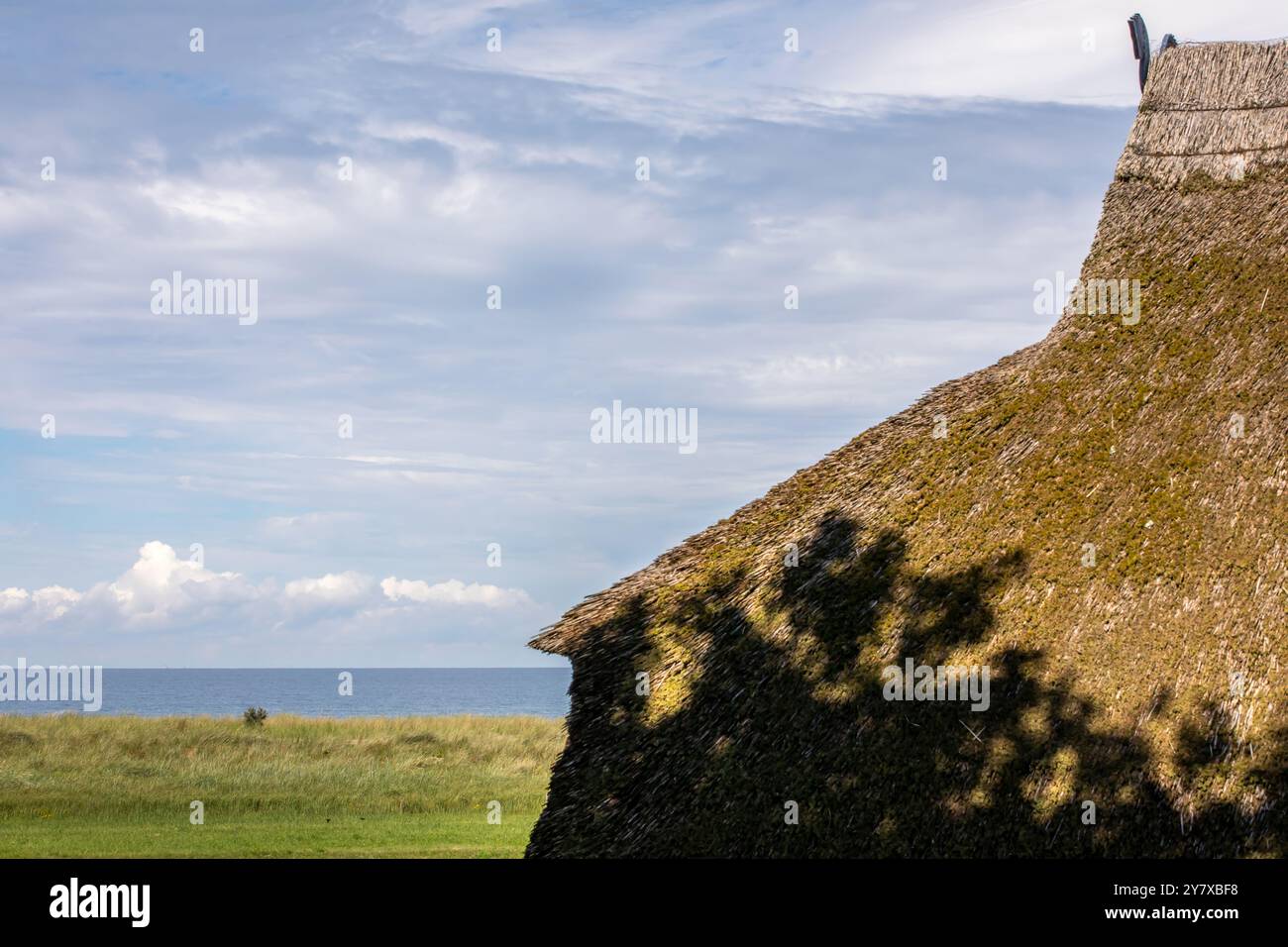 Ahrenshoop, Ostsee, Fischland, Darß, Zingst, Bezirk Vorpommern-Rügen, Mecklenburg-Vorpommern, Region Vorpommern, Deutschland, Europa Stockfoto